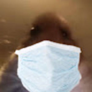 Meet your Posher, Jonathan